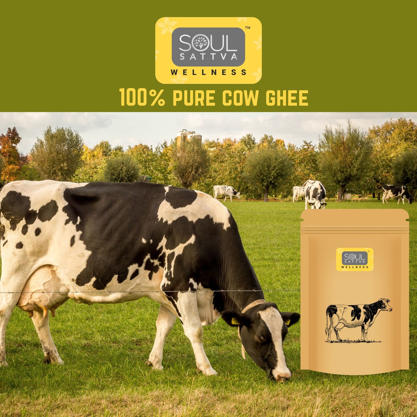 Soul Sattva Cow Ghee (500gm)