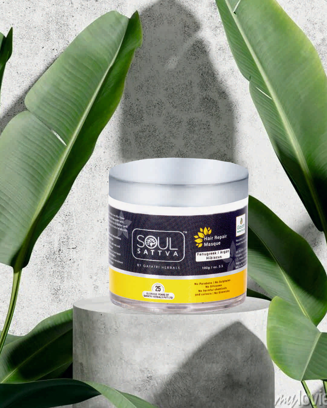 Soul Sattva Hair Repair Mask (100gm)