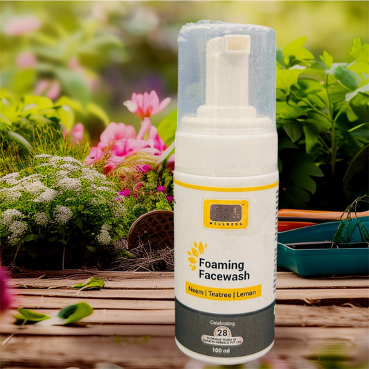 Soul Sattva Foaming Facewash (100ml)